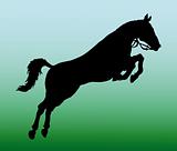 vector silhouette of horse