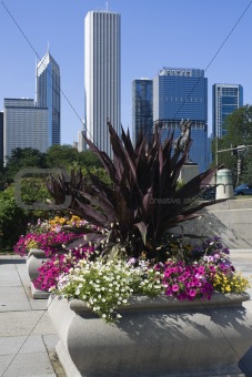 Flowers in downtown Chicago