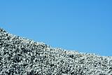 Granite stone pile with blue sky