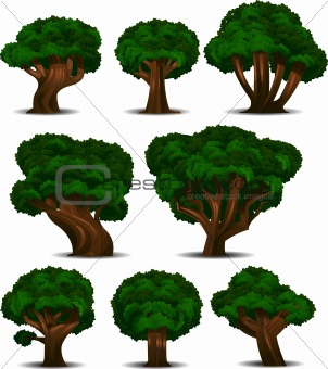 A collection of 8 different trees isolated on white. Separated into layers for easy editing!