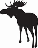 Elk vector