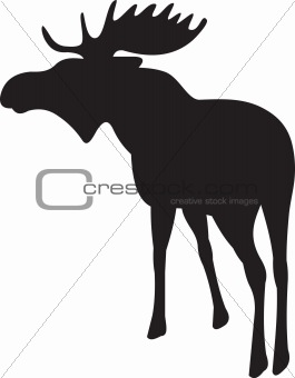Elk vector