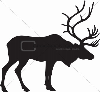 Deer vector