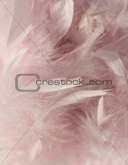 Fluffy pink feather background with corner