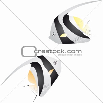 Angelfish vector