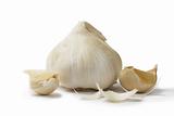 white garlic with garlic cloves