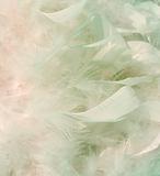 Smoky snow white and pink feathers background 