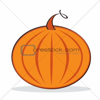 Orange pumpkin with grey shadow