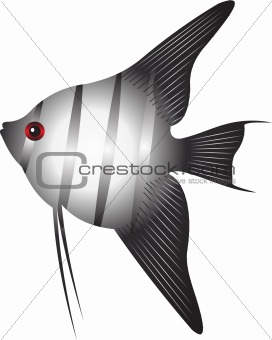 Fish vector