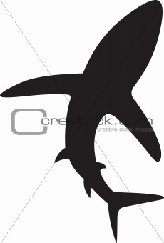 Shark vector