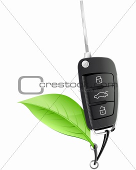 Electric Car Key