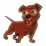 Puppy dog brown