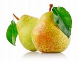 fresh pear fruits with green leaf