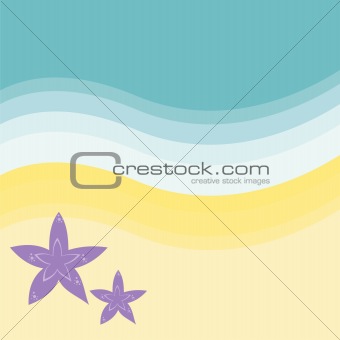sea stars on the beach