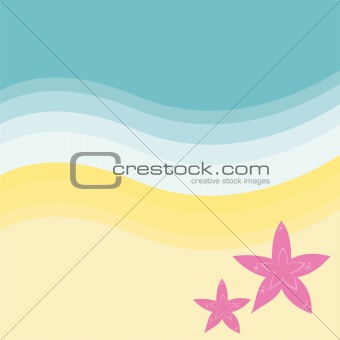 sea stars on the beach