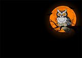 Owl night background