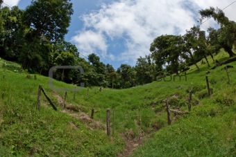 Field and sky in Costa Rica
