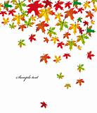 Autumn falling leaves. Vector