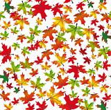 Autumnal leaves seamless background. Vector