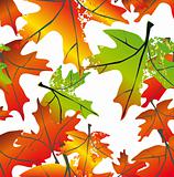 Autumn leaf seamless background. Vector