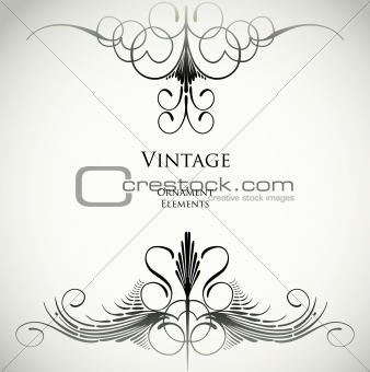 Vintage ornamental background. Vector