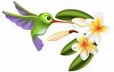 humming bird and flowers
