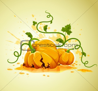 broken halloween pumpkin on grunge background