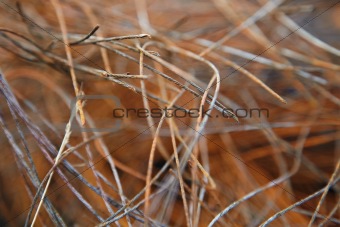 Rusty metal wire in mess