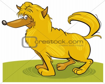 Shaggy yellow dog