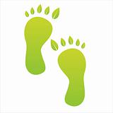 ecological foot steps