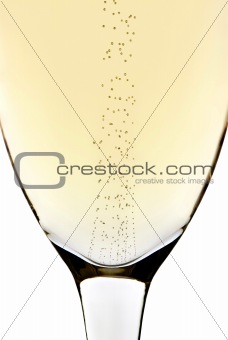 Bubbles in champagne