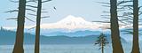 Mount Baker, Washington State panoramic