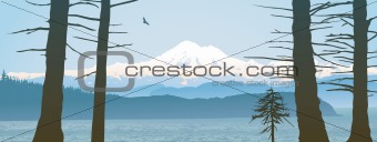 Mount Baker, Washington State panoramic