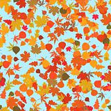 Autumn leaves, seamless background
