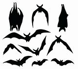 bat silhouette