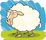 Farm animals: Sheep