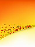 Autumn vector background with leafs.