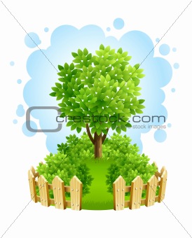 tree on green lawn with wooden fence