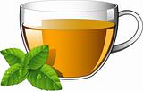 Glass cup of tea with mint leaves