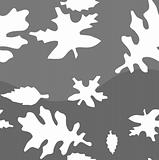 Seamless with leaf on grey background. Vector