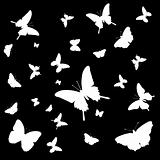 butterfly background for design