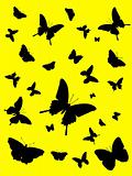 yellow butterfly background