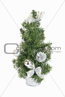 Christmas firtree isolated 