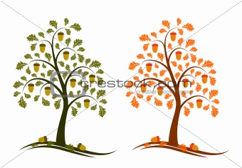 two versions of oak tree