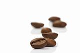 focus on a coffee bean in front of others