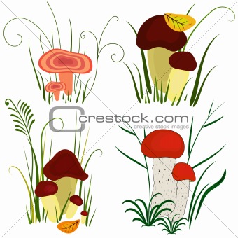 Set of mushroom