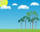 Vector Landscape with tree and cloud