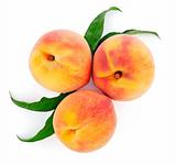 fresh peach fruits with green leaf