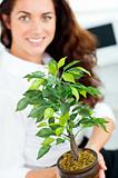Smiling businesswoman holding a plant smiling at the camera
