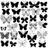 Big collection black butterflies